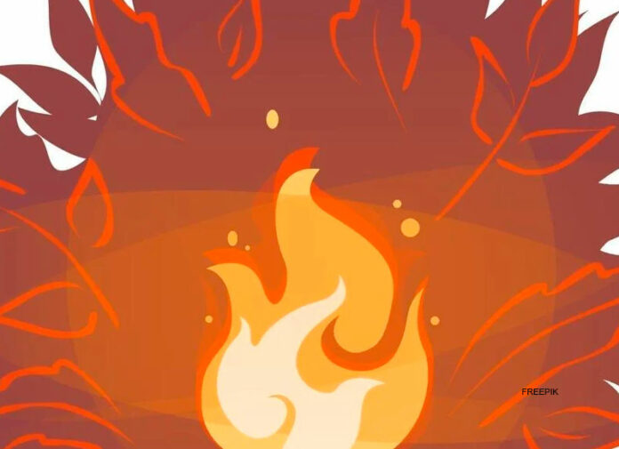 FUEGO7